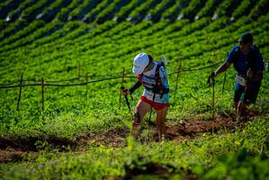 BIB: 
                            <button type="button" onclick="openModal(19160855)" class="btn btn-primary btn-sm float-right btn-popup" data-toggle="modal" data-target=".modal-high-quality">
                        <i class="fas fa-shopping-cart"></i> Add to Cart
                    </button>
                                            <button type="button" onclick="isThisMe(19160855, true)" class="btn btn-success btn-sm float-right btn-popup btn-isme hidden" data-toggle="tooltip" data-placement="bottom" title="นี่คือรูปของคุณใช่ไหม คลิกที่นี่เพื่อเอาเข้าอัลบั้ม">
                        <i class="fas fa-plus"></i> Add to album
                    </button>
                    <button type="button" onclick="isThisMe(19160855, false)" class="btn btn-warning btn-sm float-right btn-popup btn-isnotme hidden">
                        <i class="fas fa-ban"></i> Remove from album
                    </button>